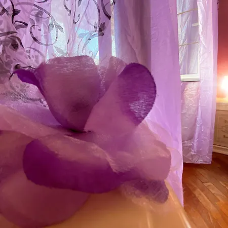 شقة La Casetta Di Ily E Giuly *